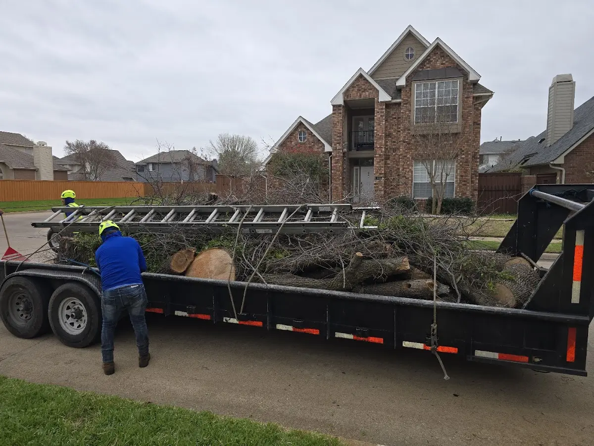 Expert Lot Clearing with proper safety equipment in Crosby